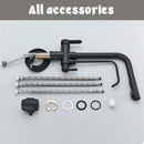 GobekUsa Black 2-in-1 Purification Kitchen Faucet with Flexible Pull Out Nozzle
