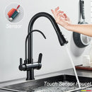 GobekUsa Dual Handle Kitchen Faucet with Black Touch Sensor and Three Modes