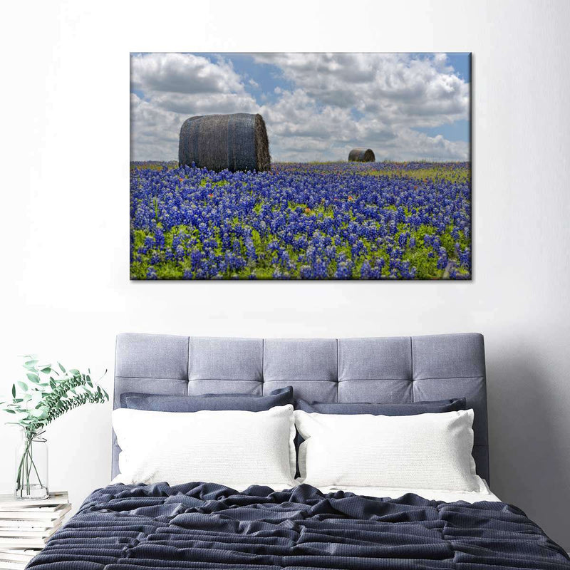 Texas Bluebonnets Wall Art