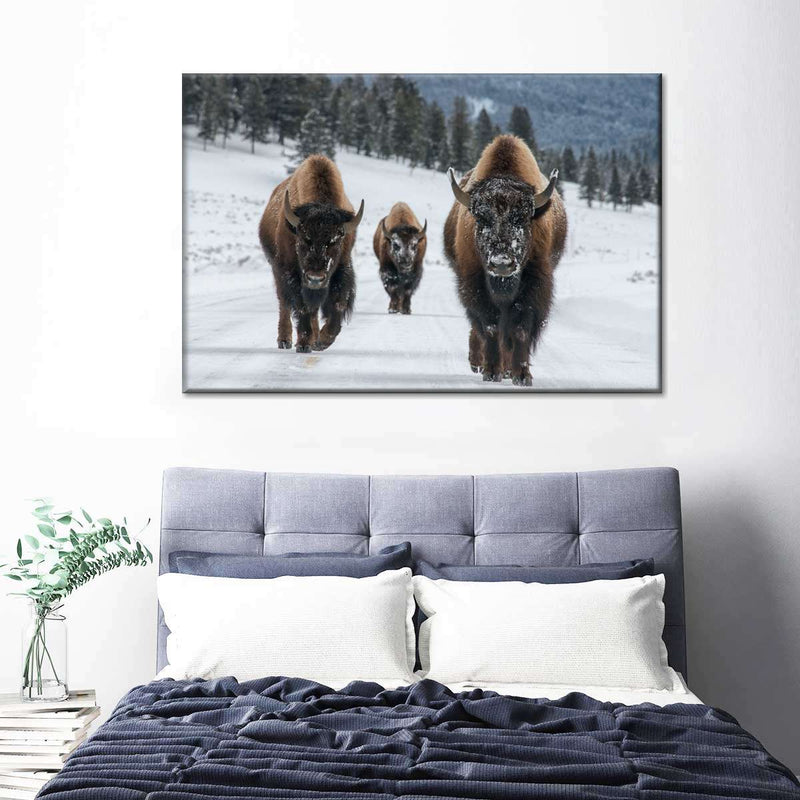 Bison Family In Yellowstone National Park Wall Art