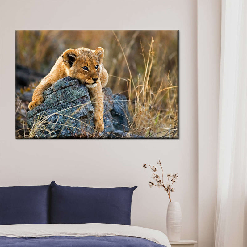 Safari Lion Cub Wall Art