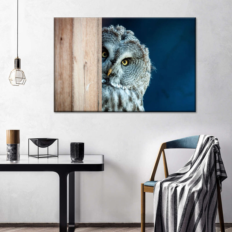 Peeking Owl Wall Art