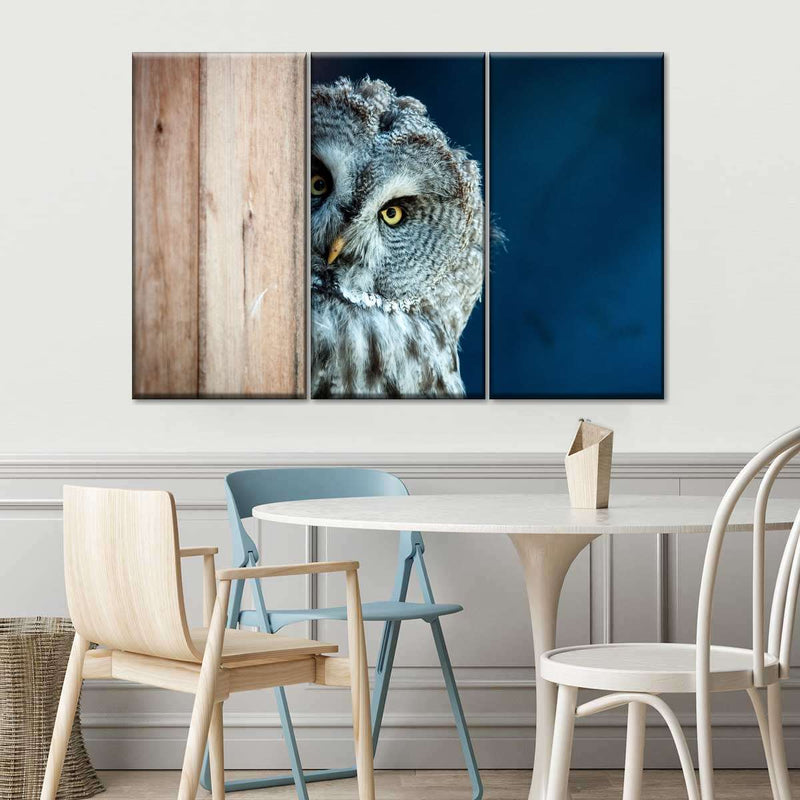 Peeking Owl Wall Art