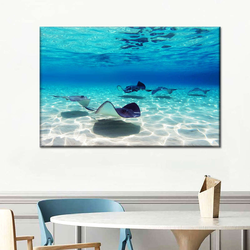 Grand Cayman Stingrays Wall Art