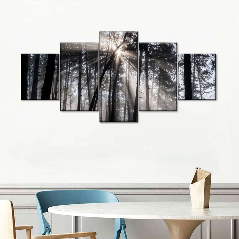 Forest Sun Beam Wall Art