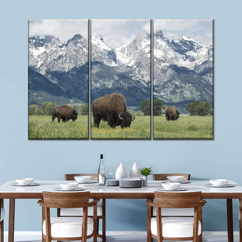 Grazing Teton Bison Wall Art