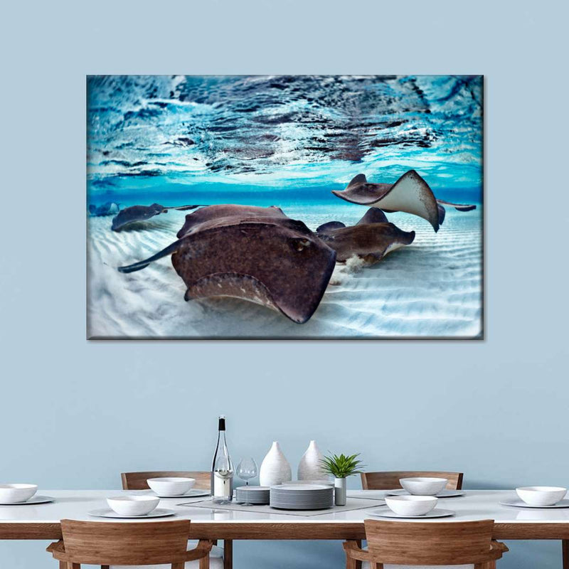 Stingrays Sea Life Wall Art