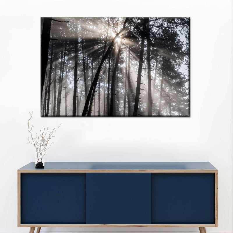 Forest Sun Beam Wall Art