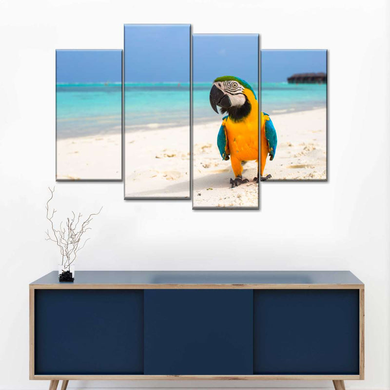 Parrot On Summer Day Wall Art