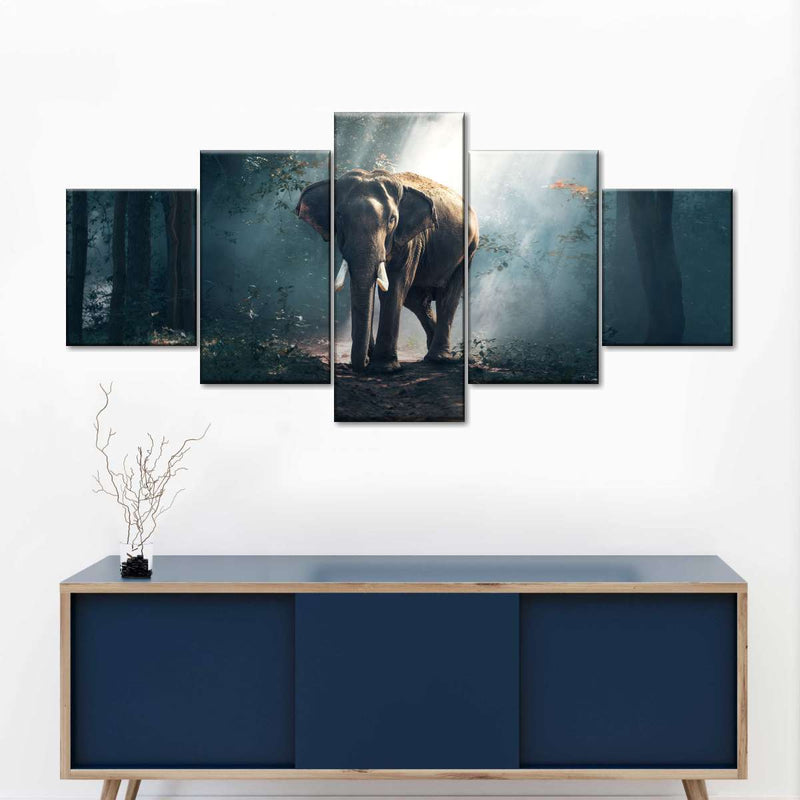 African Forest Elephant Wall Art