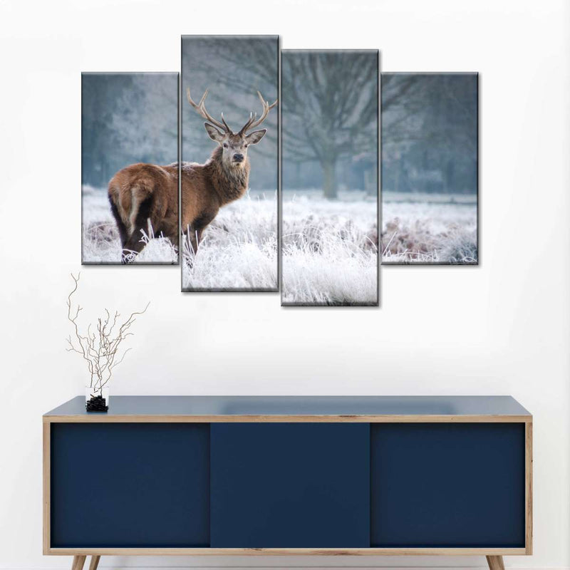 Deer Stare Wall Art