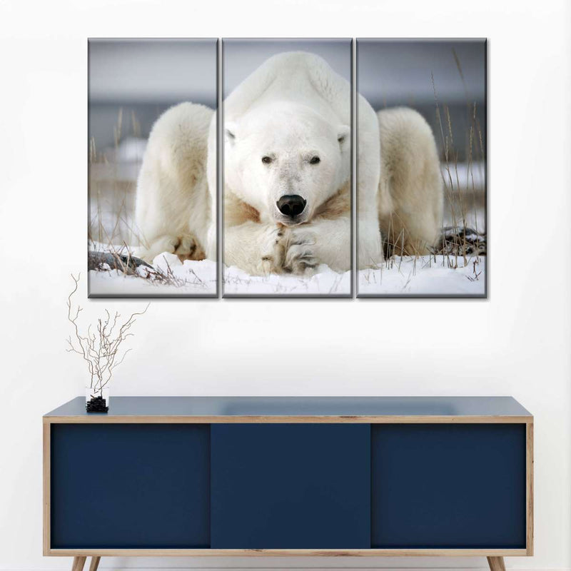 Yoga Polar Bear Wall Art