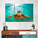 Maui Green Turtle Wall Art