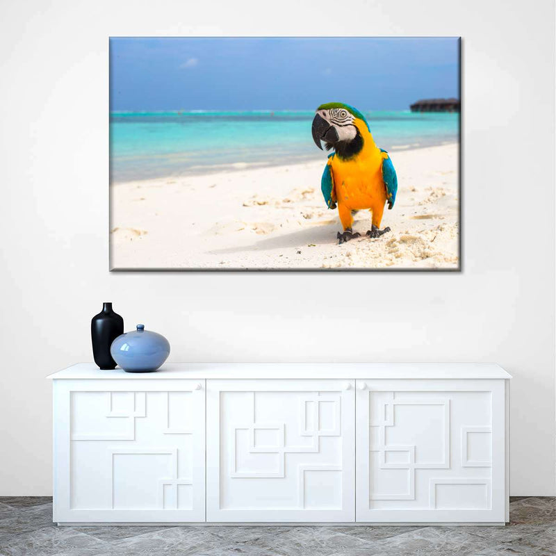 Parrot On Summer Day Wall Art