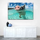 Swimming Pig Wall Art