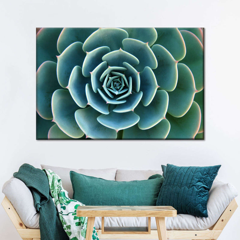 Live Succulent Wall Art