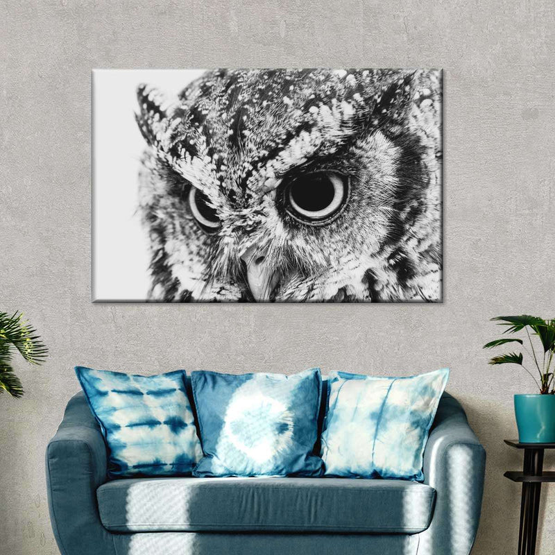 Staring Owl Wall Art