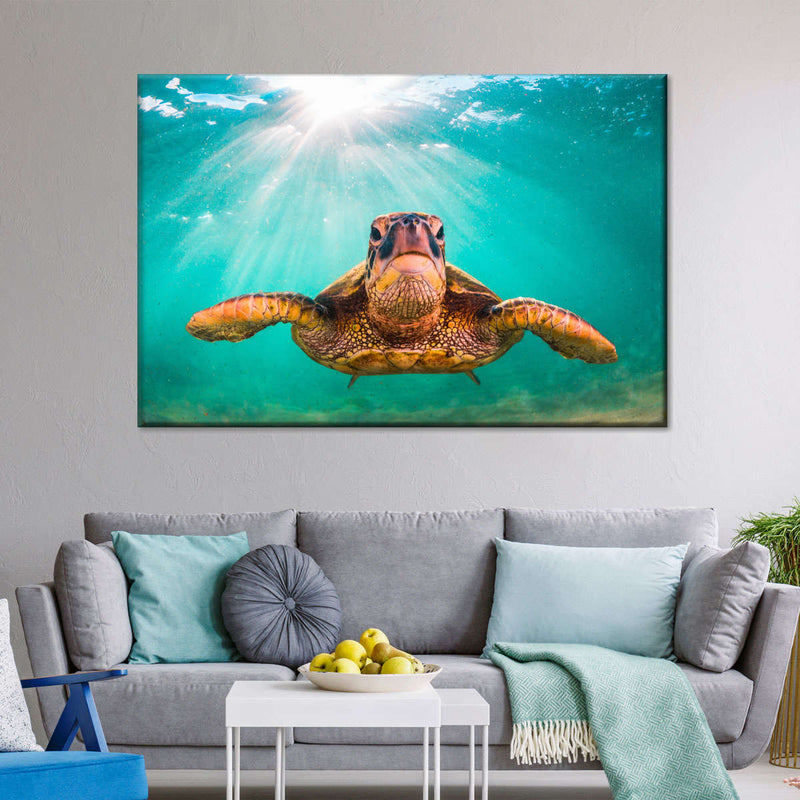 Maui Green Turtle Wall Art