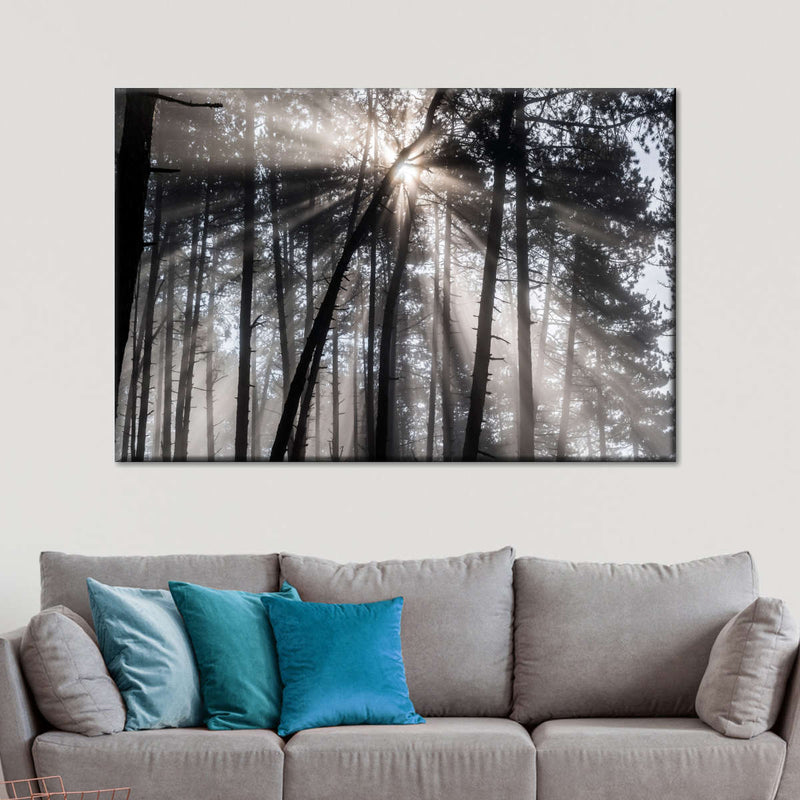 Forest Sun Beam Wall Art