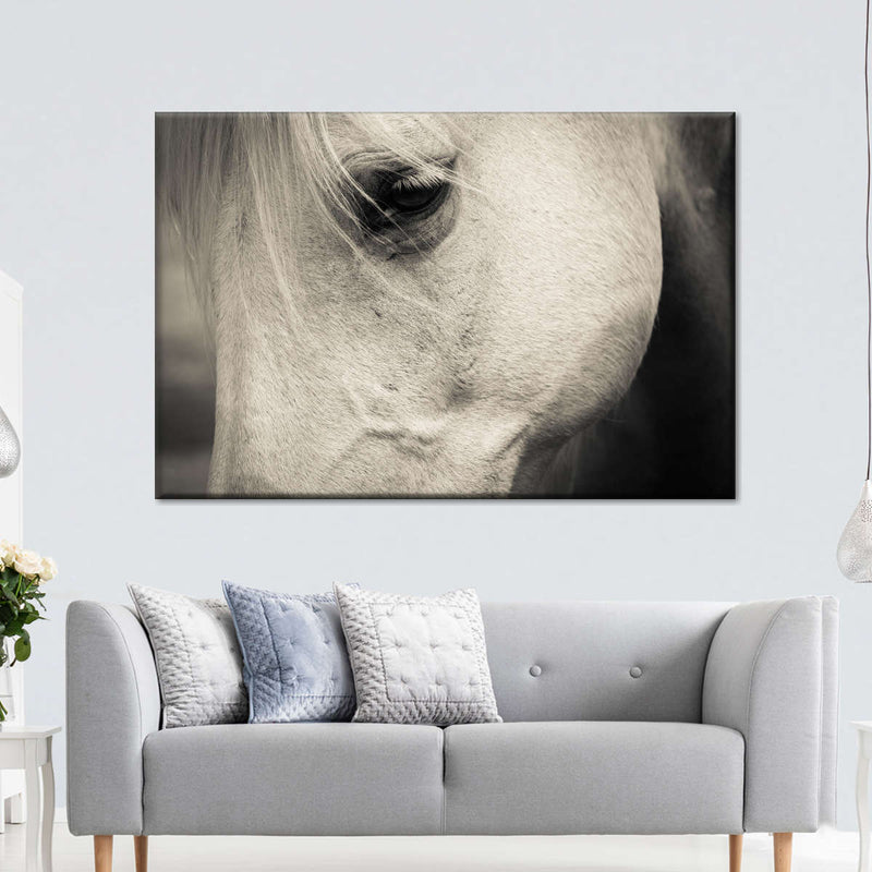 White Horse Eye Wall Art