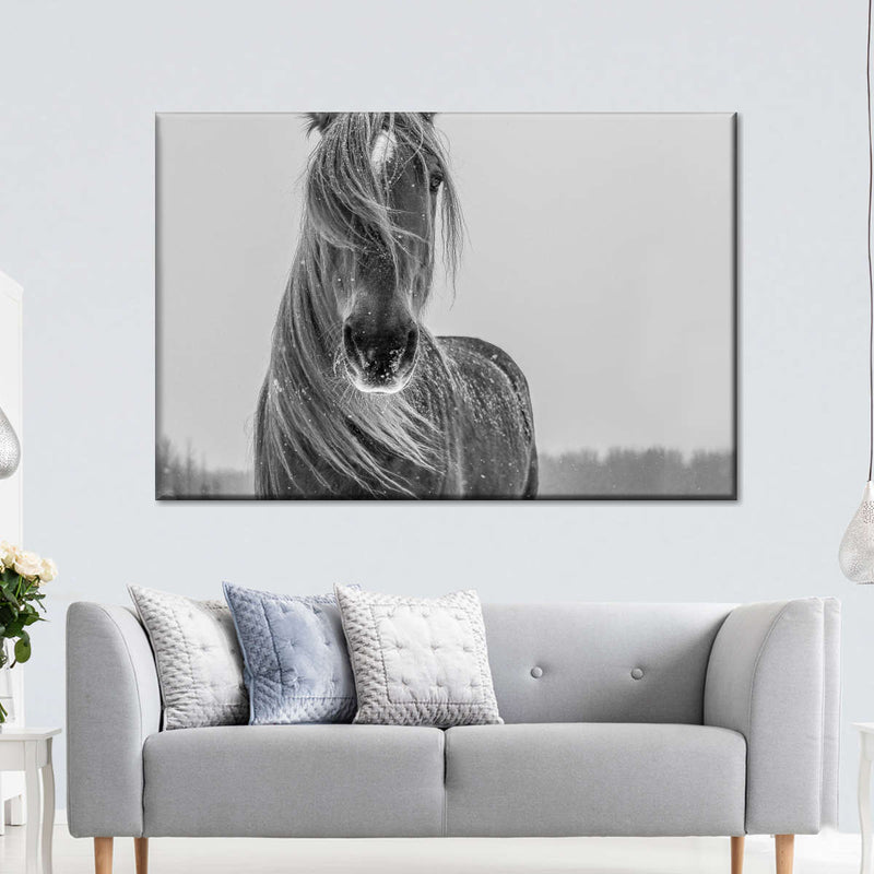 Winter Horse Wall Art