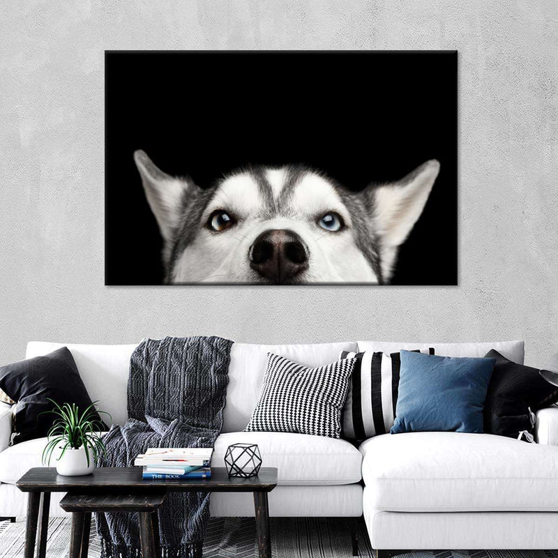 Peeking Siberian Husky Wall Art