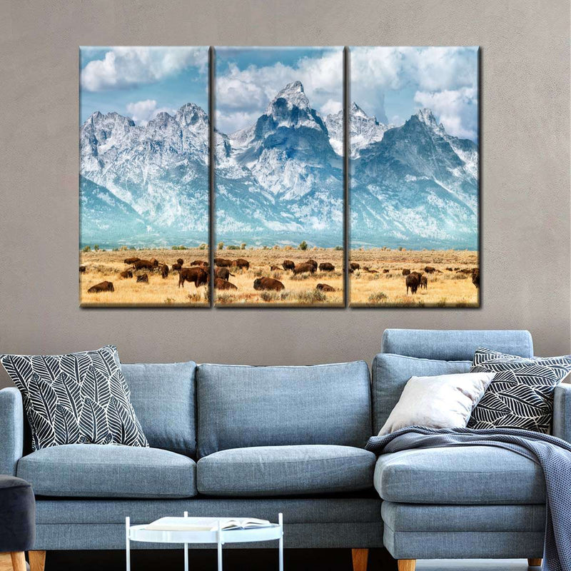 Bison Herd In Grand Teton Wall Art