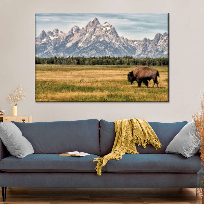 Bull Bison In Grand Teton Wall Art