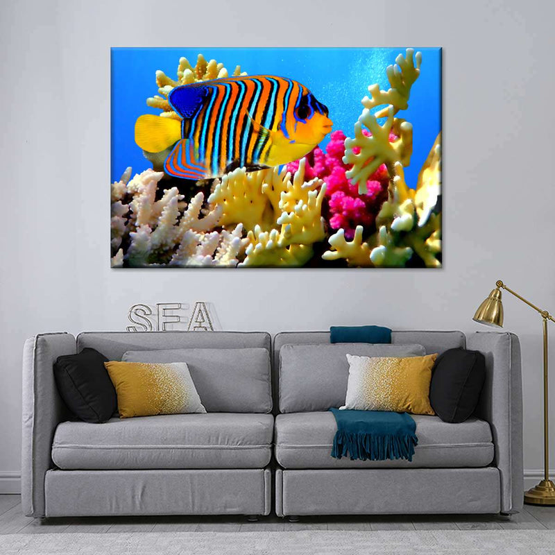 Queen Angelfish Wall Art