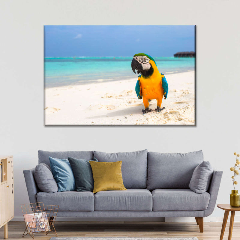 Parrot On Summer Day Wall Art