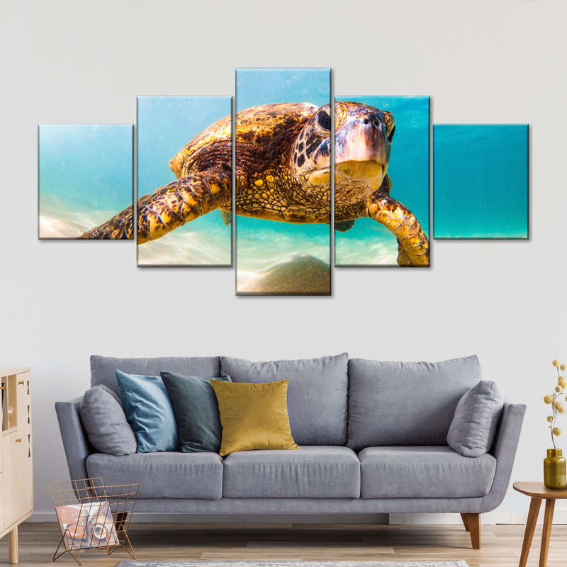 Hawaiian Turtle Wall Art