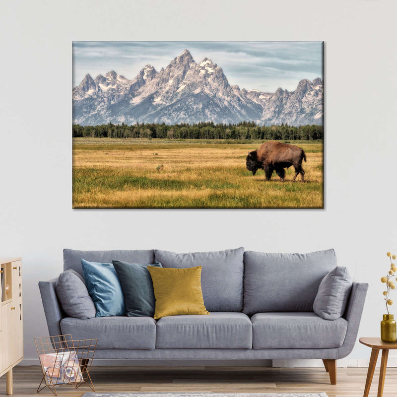 Bull Bison In Grand Teton Wall Art