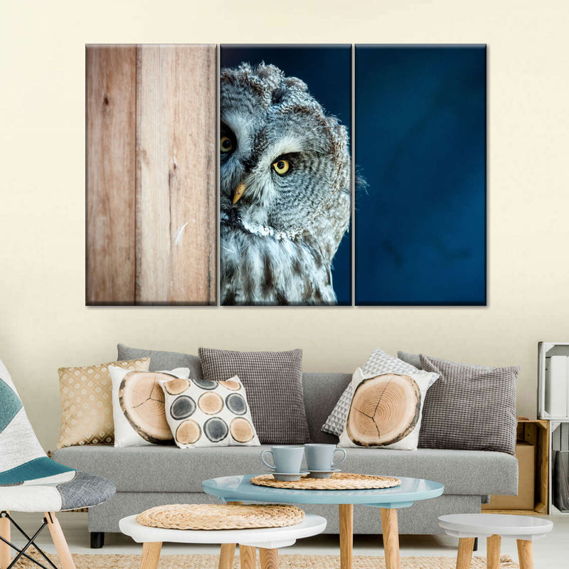 Peeking Owl Wall Art