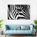 Zebra Eye Wall Art