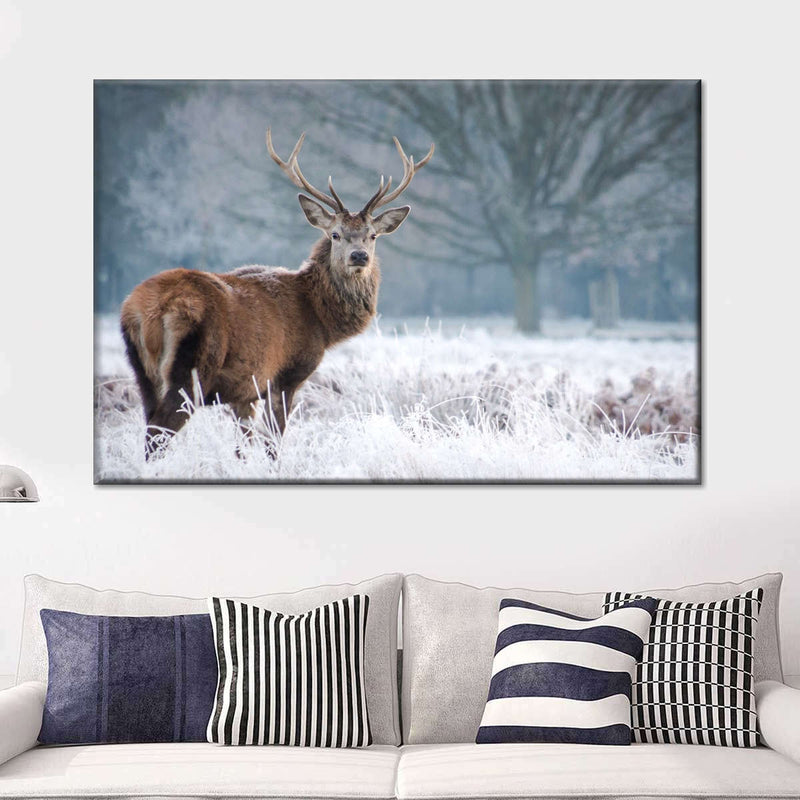 Deer Stare Wall Art