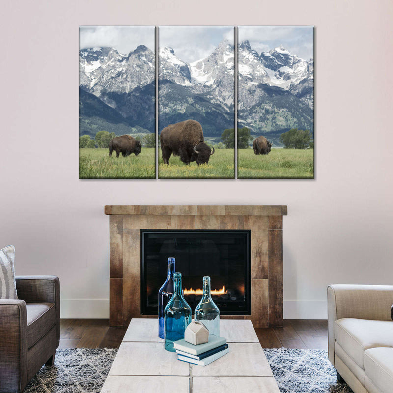 Grazing Teton Bison Wall Art