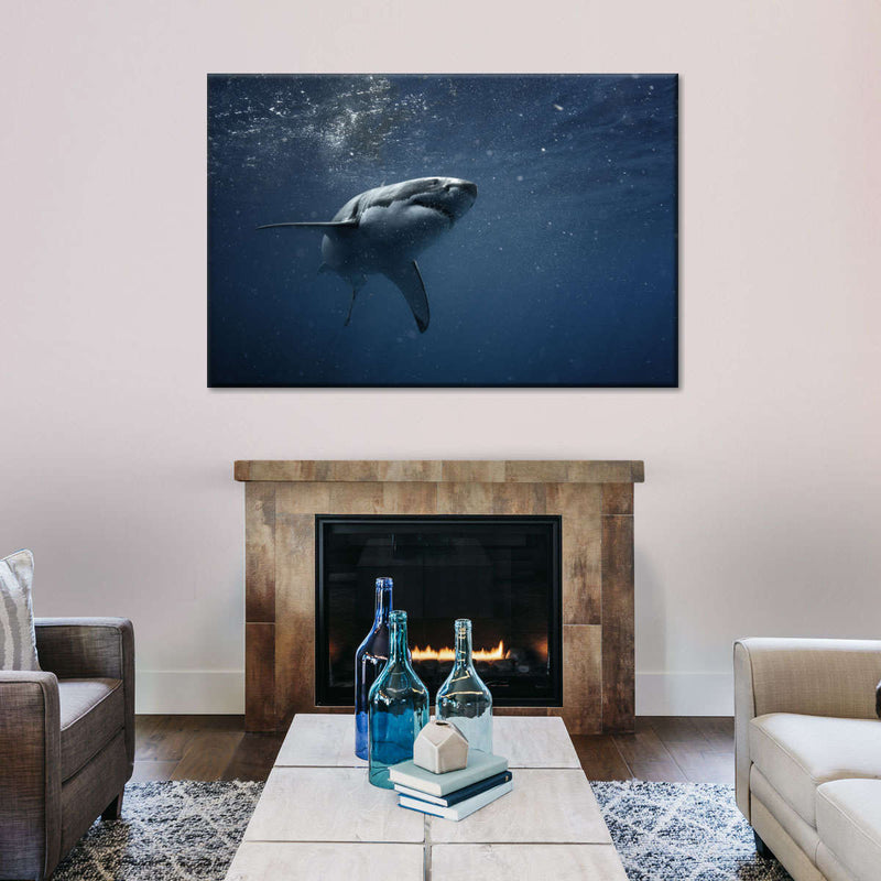 Great White Shark Wall Art