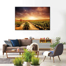 Vineyards Wall Art