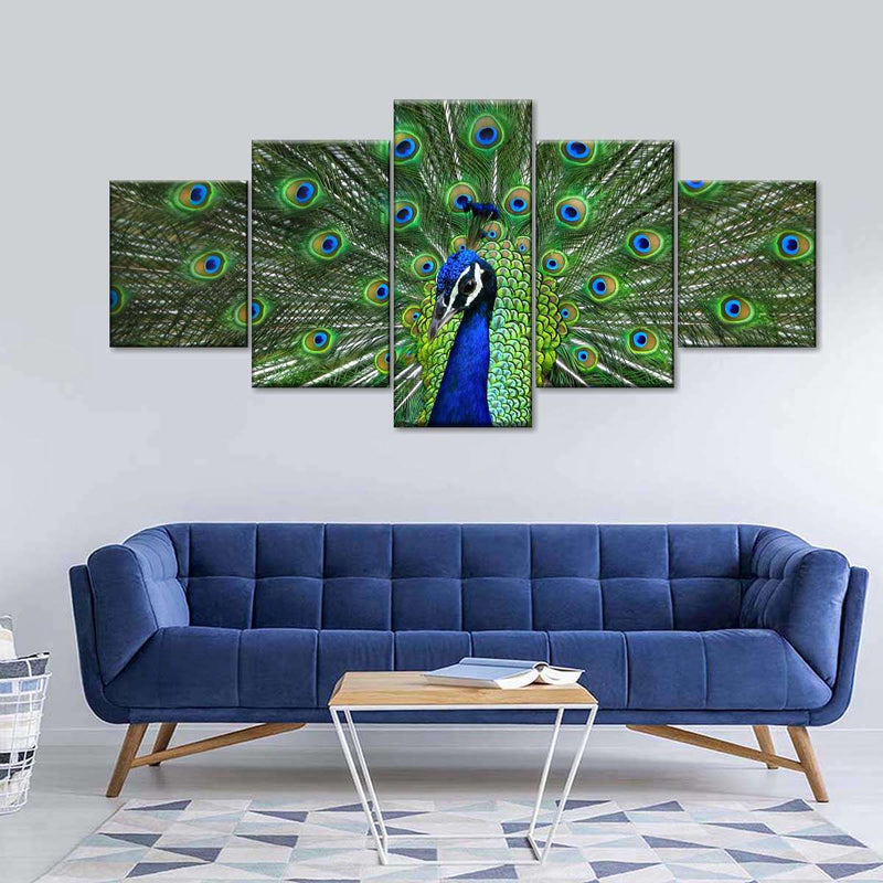 Peacock Feathers Wall Art