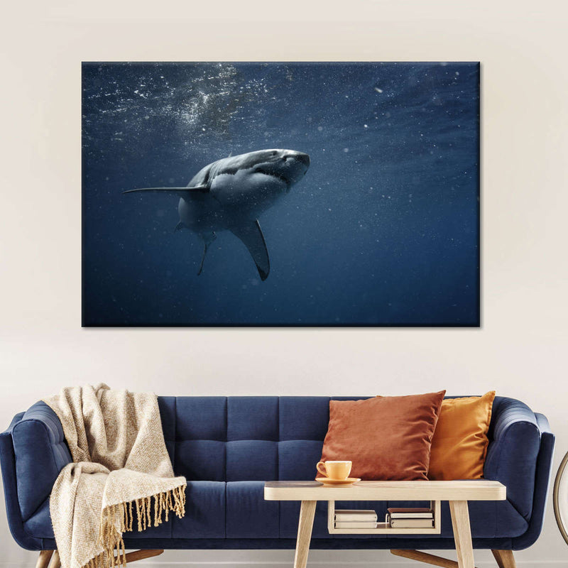 Great White Shark Wall Art