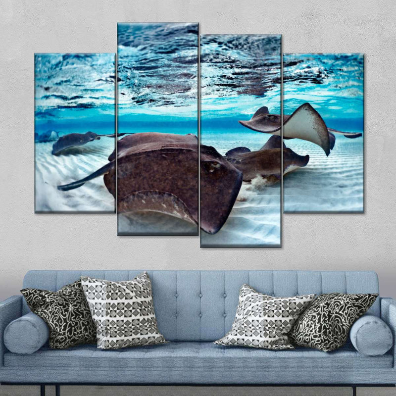 Stingrays Sea Life Wall Art