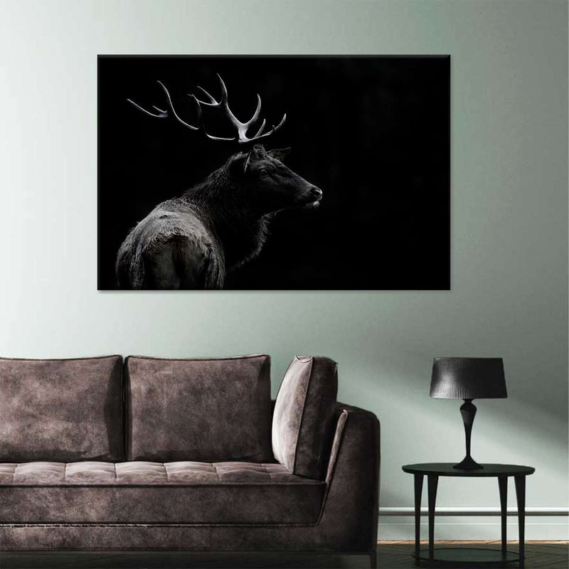 Monochrome Bull Elk Wall Art