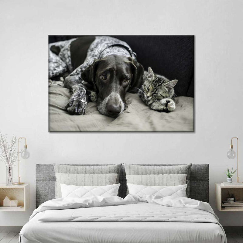 Dog And Cat Friends Wall Art