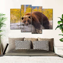 Resting Grizzly Bear Wall Art