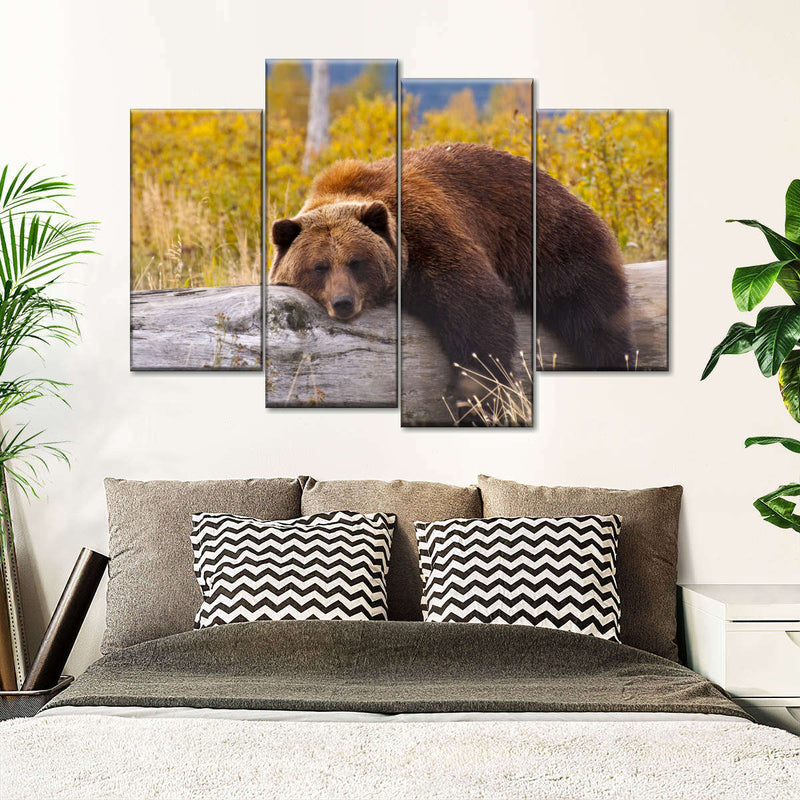 Resting Grizzly Bear Wall Art