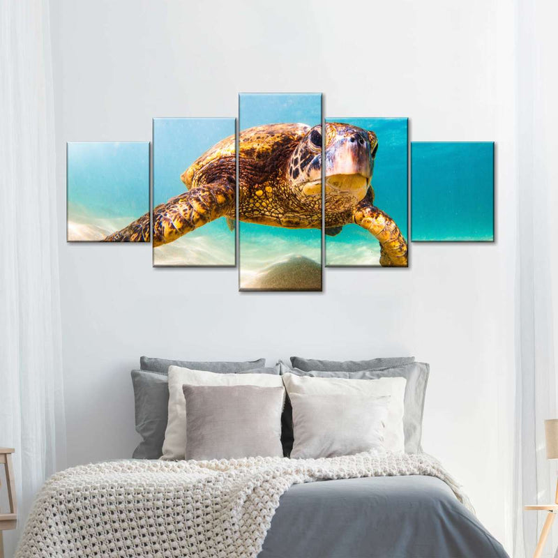 Hawaiian Turtle Wall Art