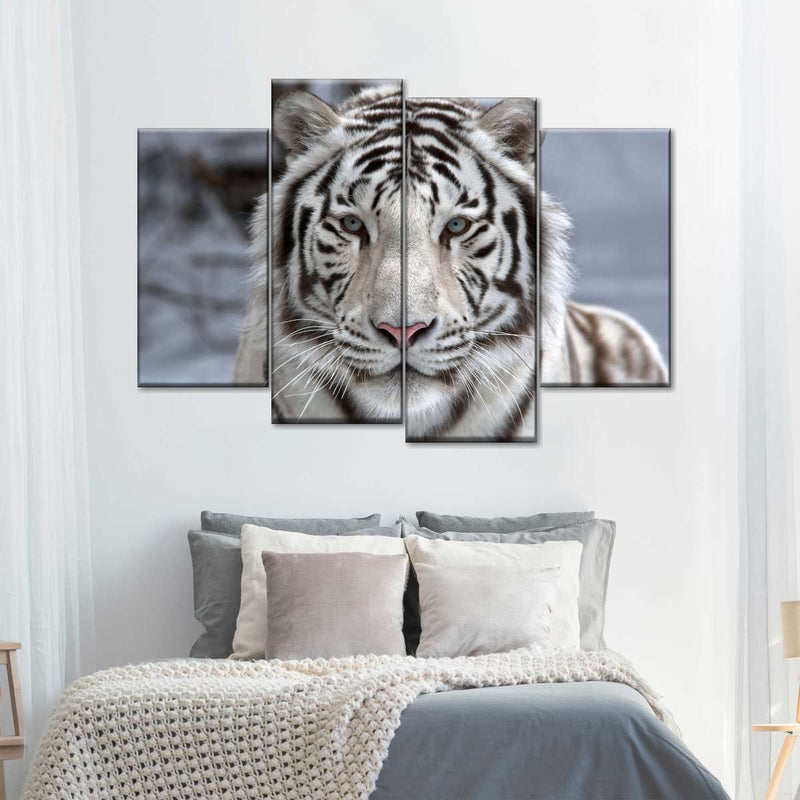 Endangered White Tiger Wall Art