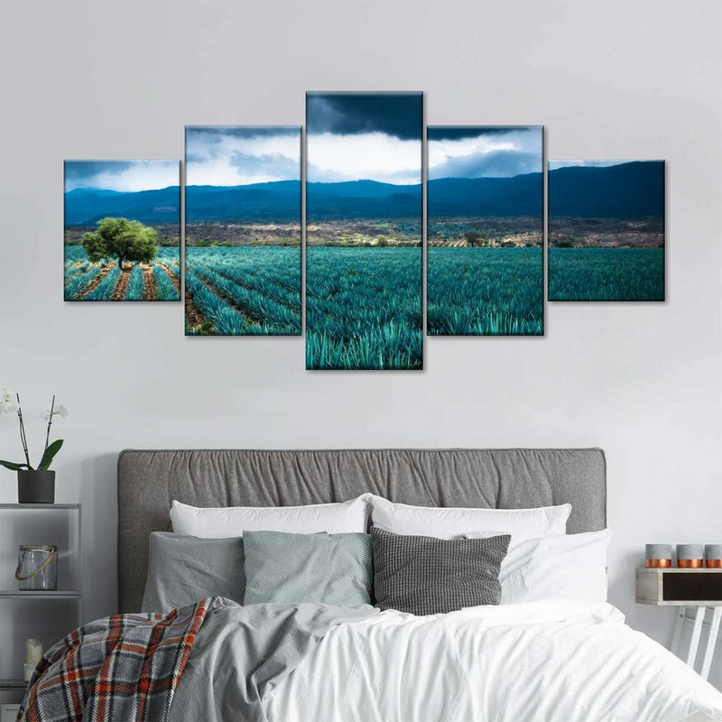 Agave Plantation At Morning Wall Art