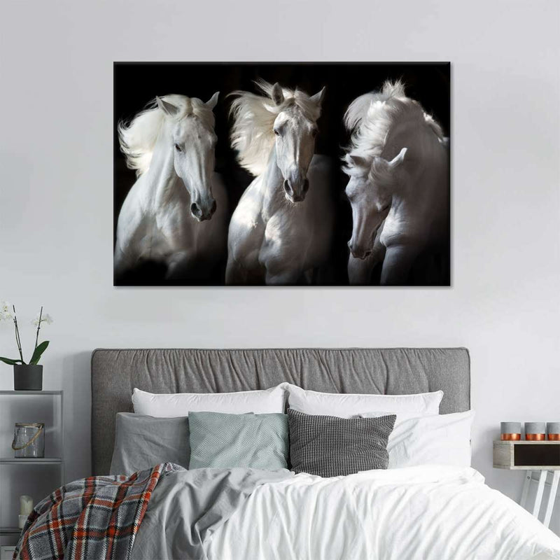 Three White Horses Wall Art