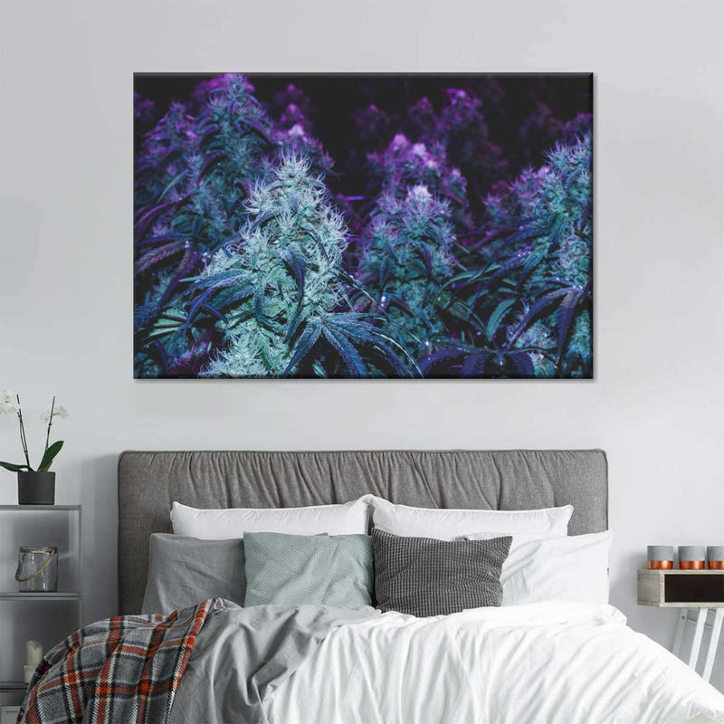 Flowering Purple Cannabis Wall Art